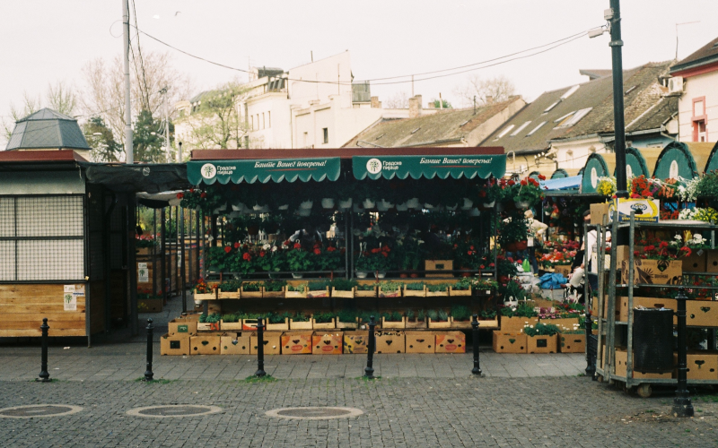 fresh fruits and vegetables in belgrade